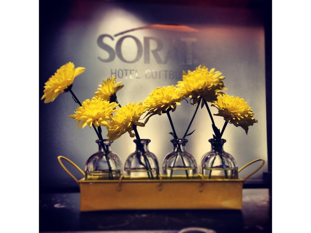 Sorat Hotel Cottbus Ngoại thất bức ảnh
